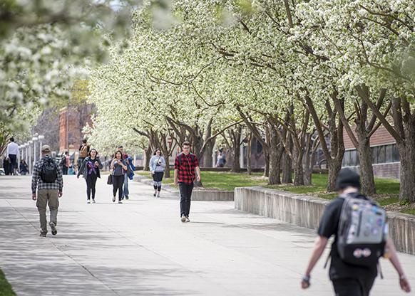 Spring Campus with Students walking around