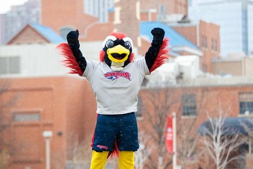 MSU Denver mascot Rowdy in celebratory pose.